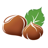 100% Giresun Domestic Hazelnut